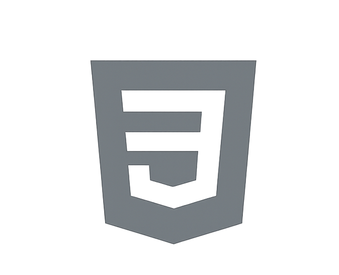 CSS
